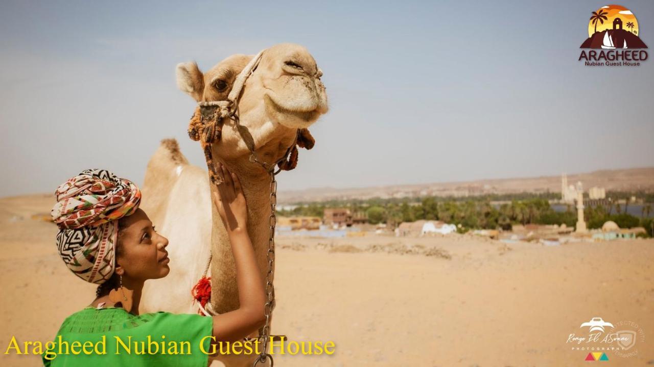 Nubian Kingdom Aragheed House Apartment Aswan Bagian luar foto