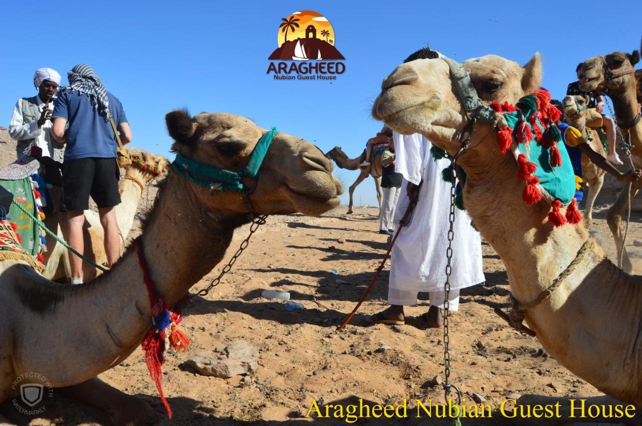 Nubian Kingdom Aragheed House Apartment Aswan Bagian luar foto