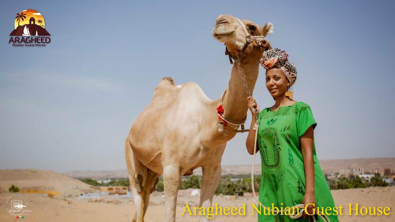 Nubian Kingdom Aragheed House Apartment Aswan Bagian luar foto